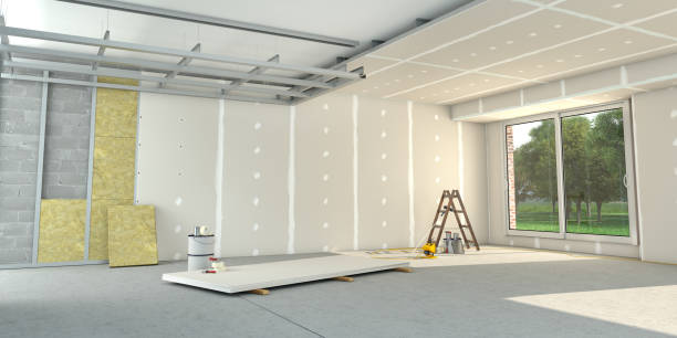 Best Professional Insulation Contractor  in Long Prairie, MN