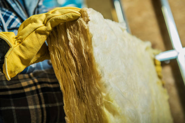 Best Home Insulation Services  in Long Prairie, MN